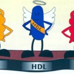 LDL HDL VLDL LDL HDL VLDL