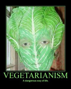 Wegetarianizm